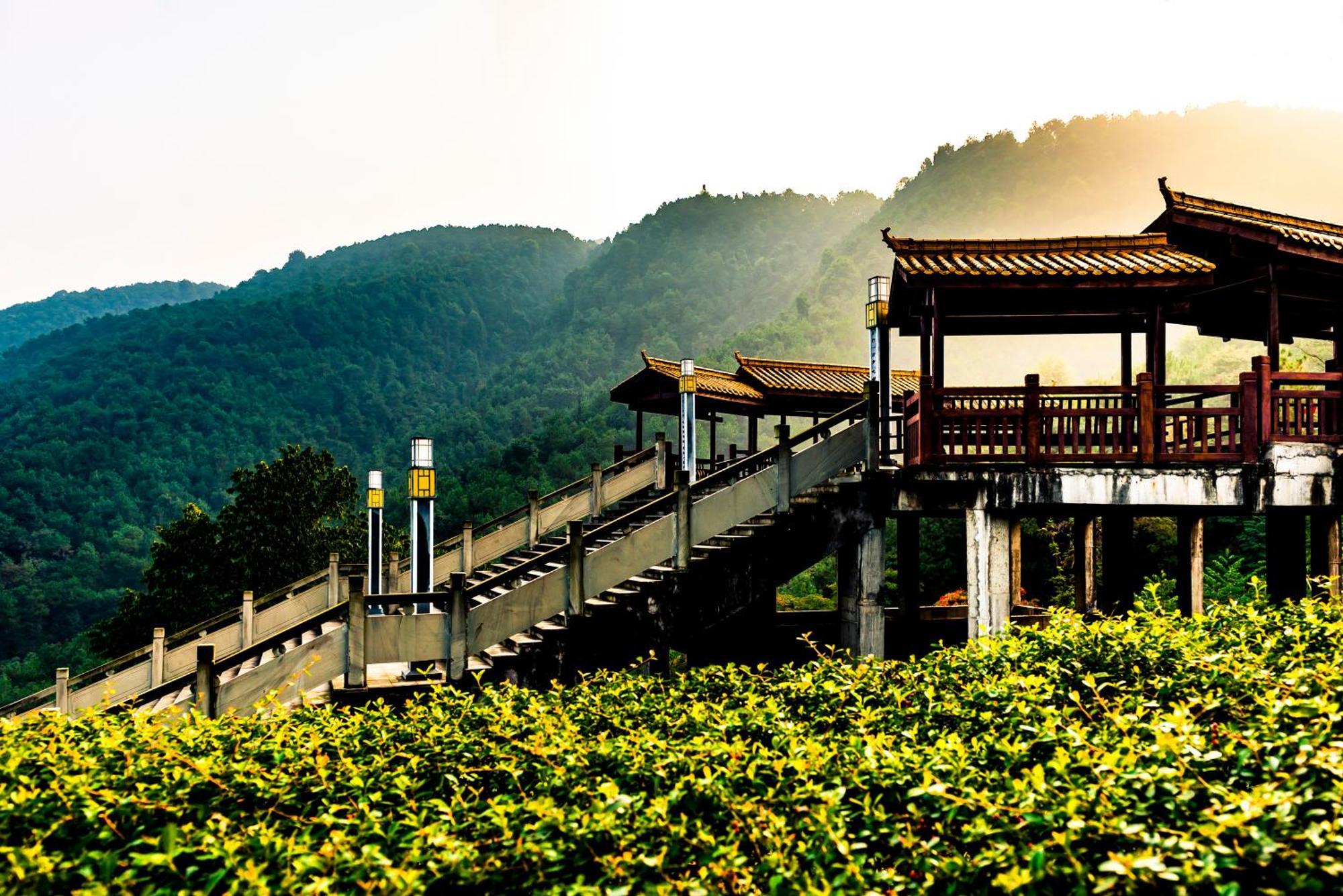 Melia Chongqing Otel Dış mekan fotoğraf